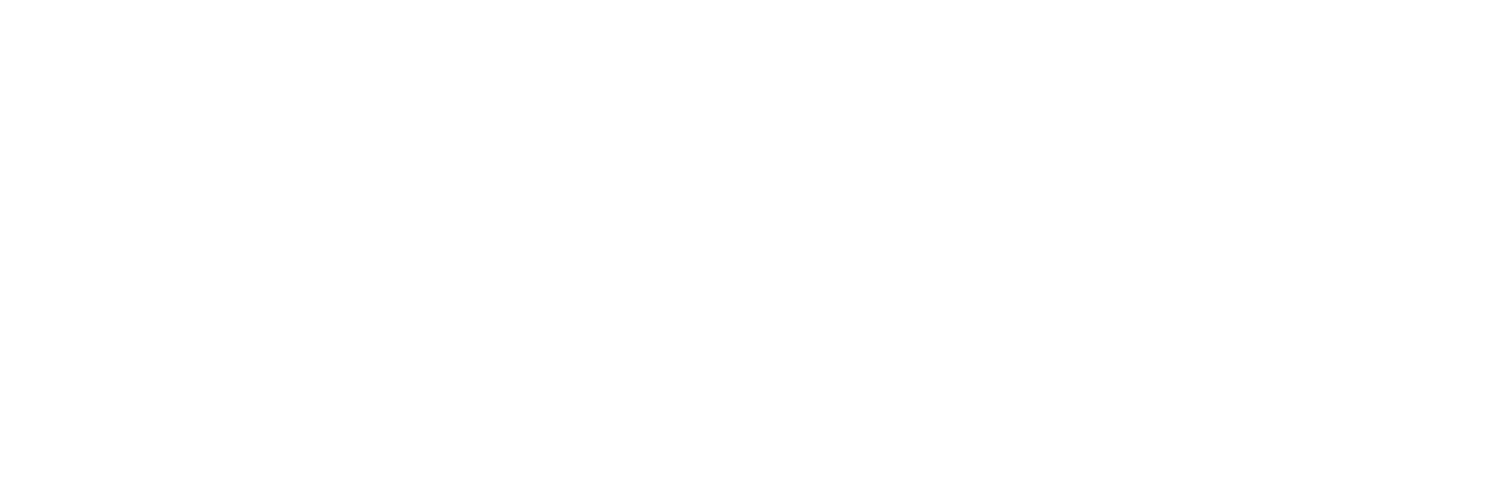 game provider 